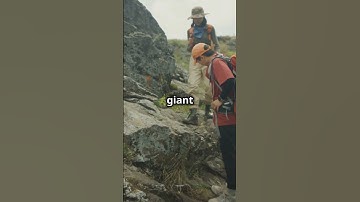 Progress, Not Perfection: Keep Moving Forward!🚀🌟💪 ( subscribe to channel)