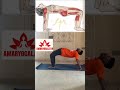Try this ✅#yoga #fitness #workout #viral #explorepage #trending