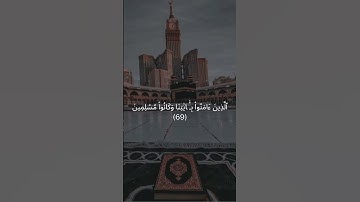 يَا عِبَادِ لَا خَوْفٌ عَلَيْكُمُ الْيَوْمَ | سورة الزخرف #قرآن_كريم #إسلاميات #المدينة_المنورة