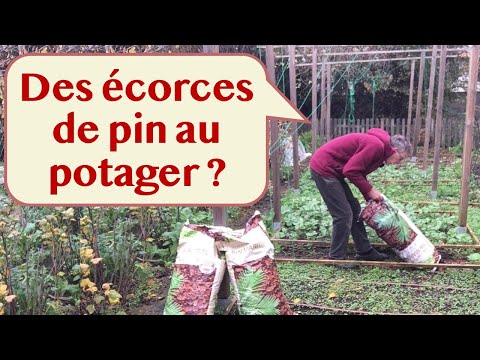 Are pine needles and bark acidifying? thumbnail