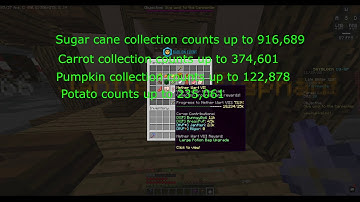 Hypixel skyblock is broken