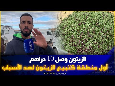 الزيتون دخل لسوق الولجة بتاونات والثمن واصل ل 10 دراهم