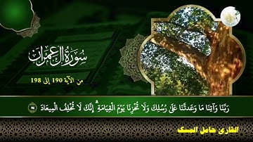 سورة آل عمران (198/190)