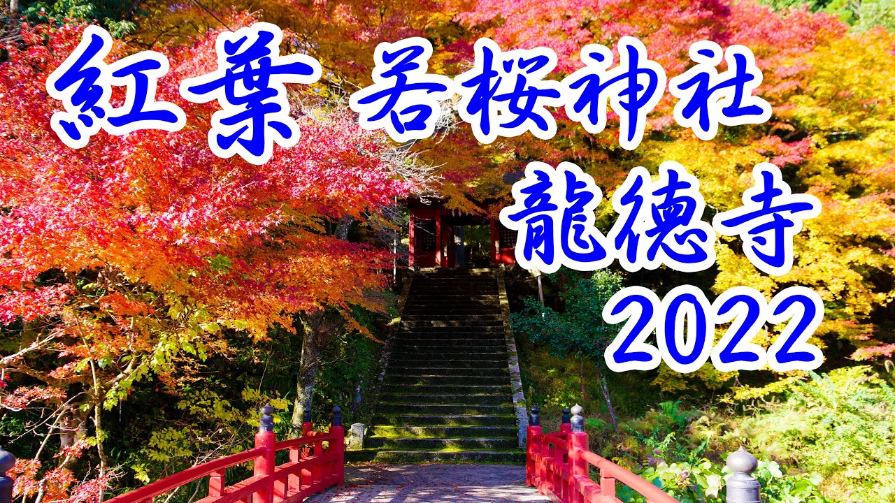 8 紅葉 若桜神社 龍徳寺 2022 YouTube