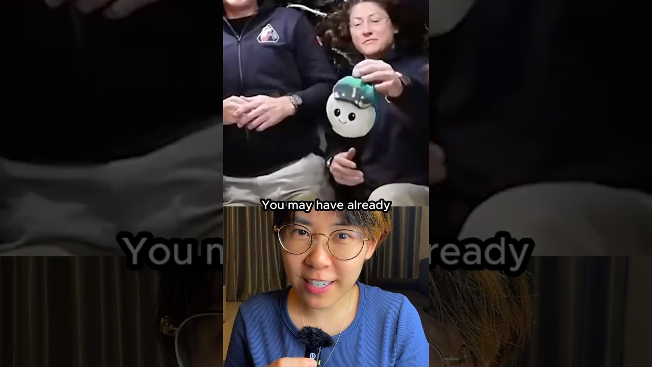 The Truth About the Artemis 2 Plush Toy #space #nasa