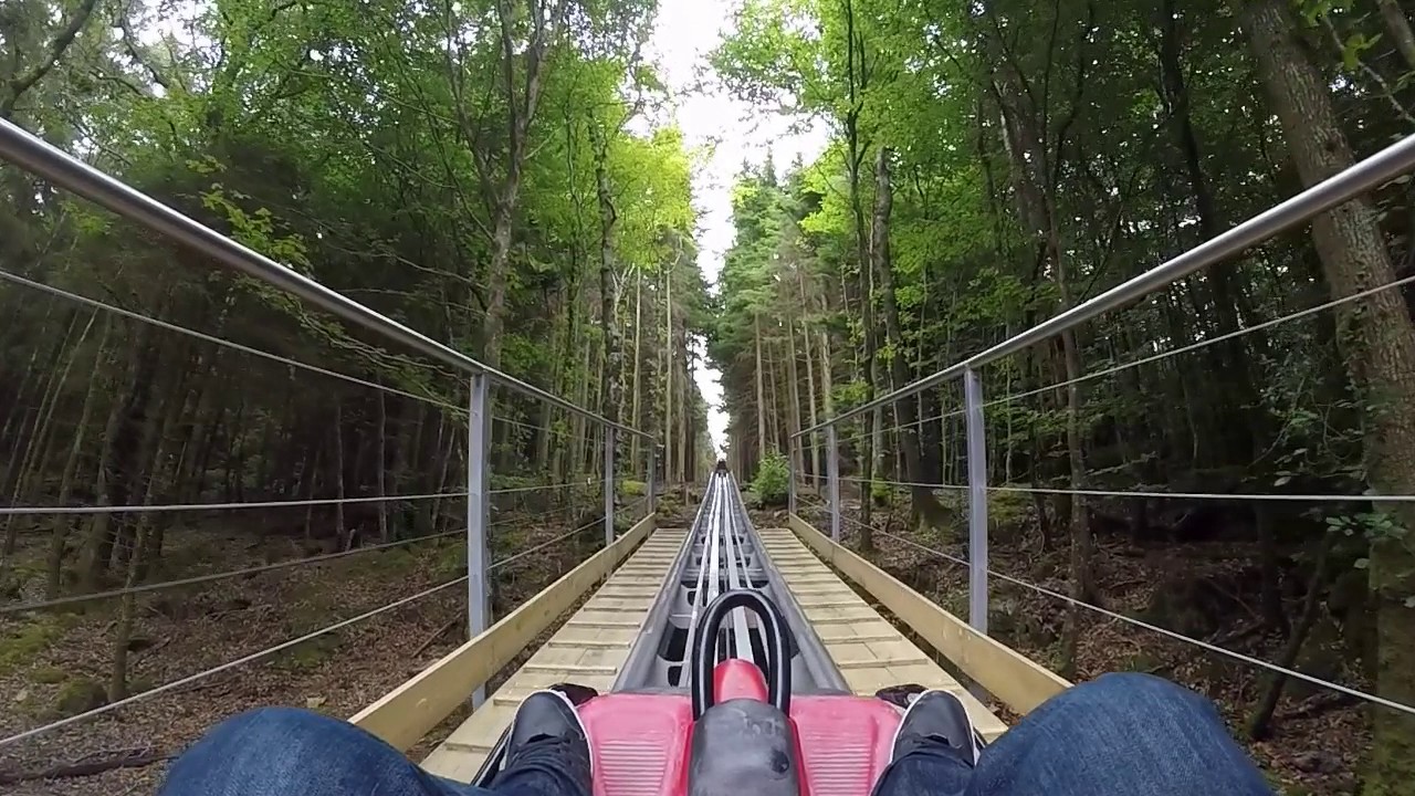 Fforest Alpine Coaster Zip World Wales on-ride POV 60fps