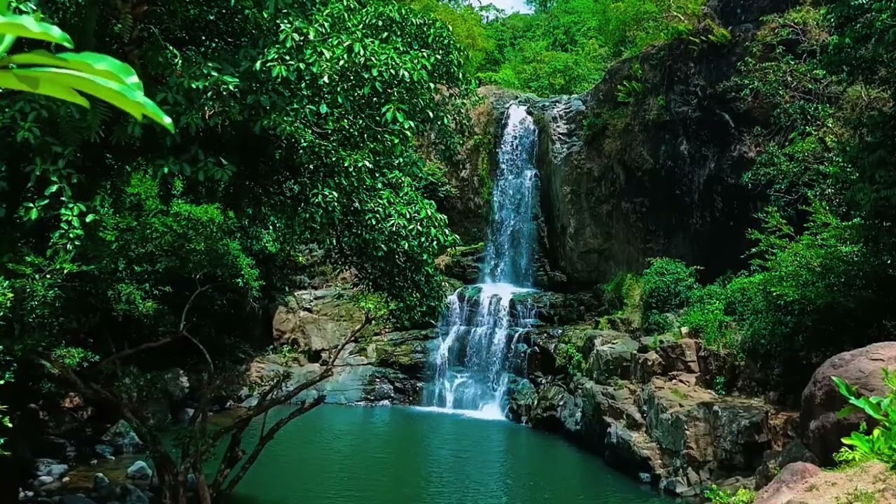 The Natural Charm of Stunning Waterfalls with Beautiful Birds Chirping for Relaxation | Nature Sound