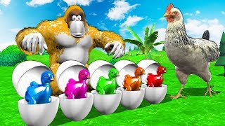 Funny Gorilla On Red Tractor - Learn Colors With Chicken Eggs | Farm Animals Feeding For Kids