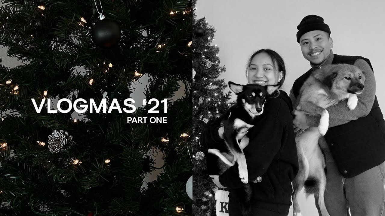 VLOGMAS 2021 | Christmas Shopping, APT Updates, & F/W Skincare Routine
