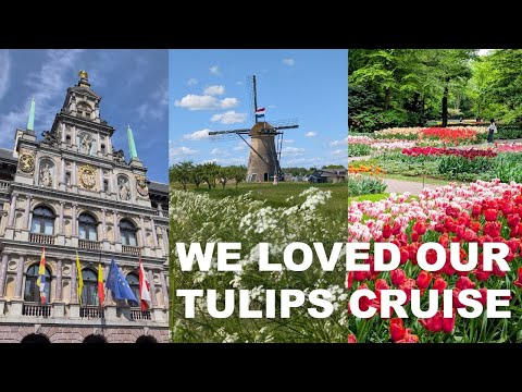 What S A Tulips River Cruise Really Like 