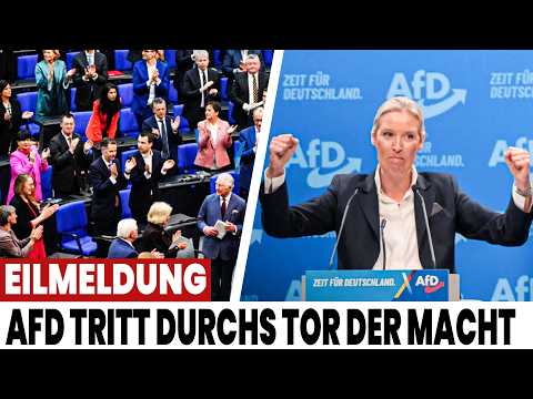 AfD GEWÄHLT! Im