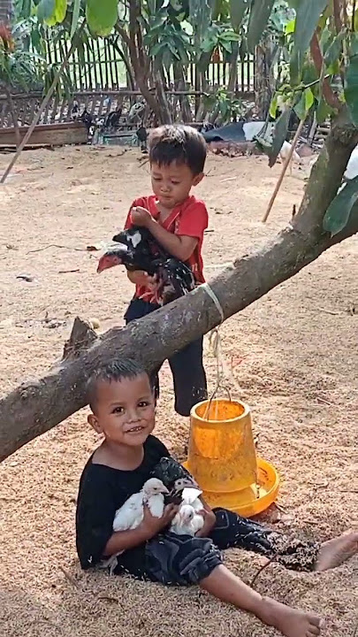 #shortvideo #shorts #short #youtube #ytshorts #youtubeshorts #video #viral #viralvideo #funny #fyp