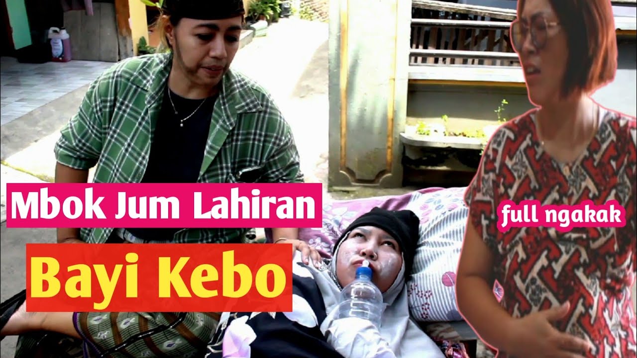 MBOK JUM LAHIRAN BAYI KEBO, BIKIN GEGER WARGA