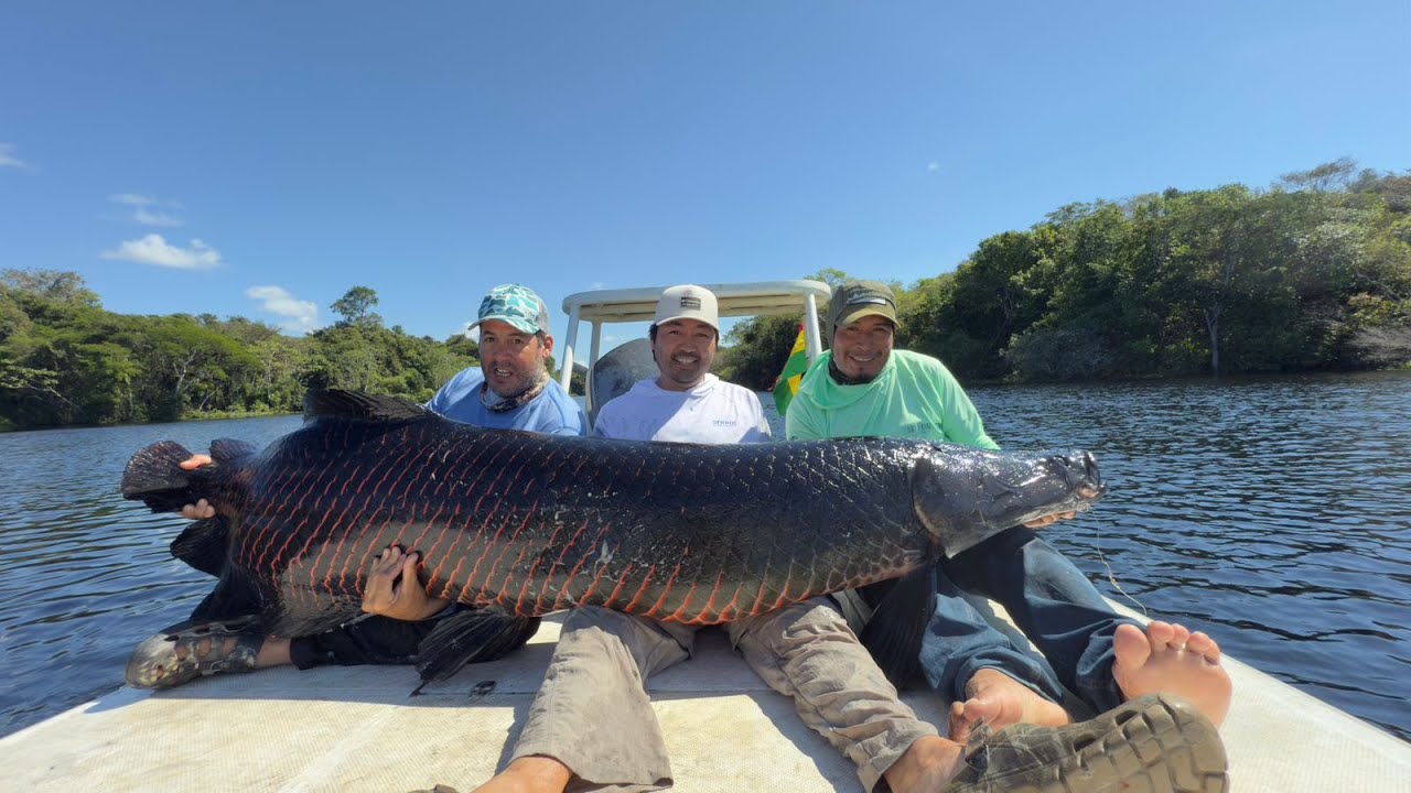 Curícha Arapaima Lodge | Amazon Angler