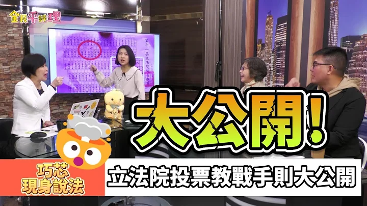 徐巧芯大公开!国民党立法院投票教战手则! - 天天要闻