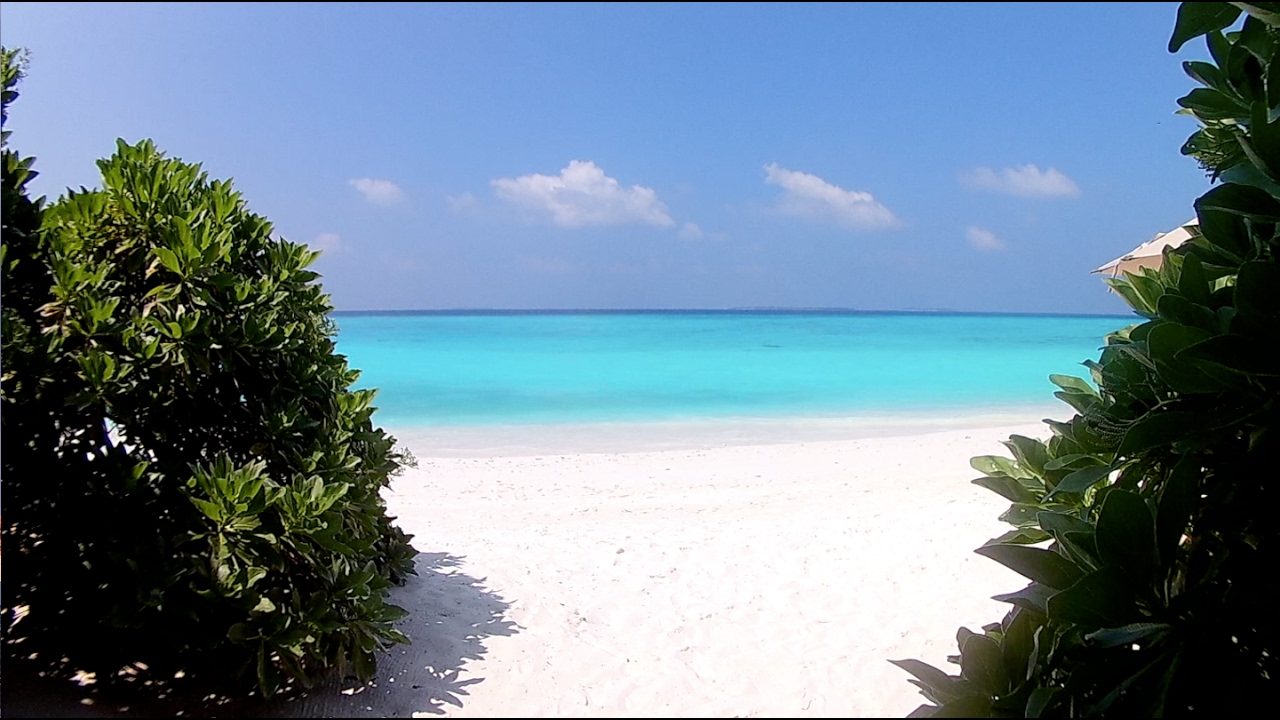 Maldives 17 The Barefoot Eco Hotel Youtube