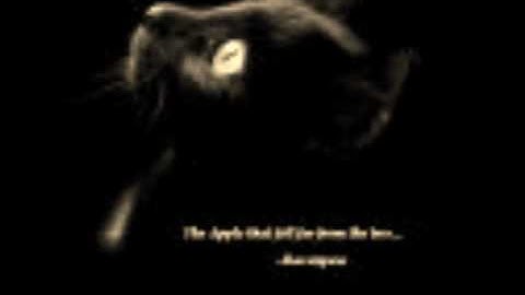 Car Crash by Matt Nathanson