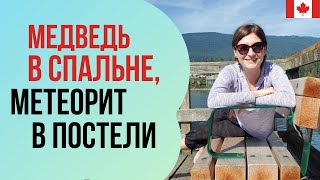 Канадские будни: МЕДВЕДЬ в спальне, МЕТЕОРИТ в постели!