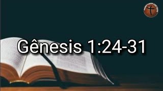 Gênesis 1:24-31