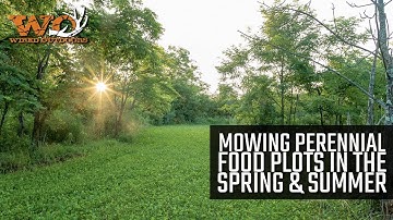 Mowing Perennial Food Plots in The Spring And Summer