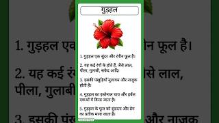 5 Lines on Hibiscus in Hindi | Few Lines about Hibiscus | 5 lines on hibiscus flower | 🌺🌺#shorts