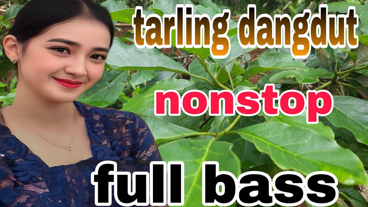 TARLING DANGDUT COCOK TEMEN AKTIVITAS BASS SUPER EMPUK