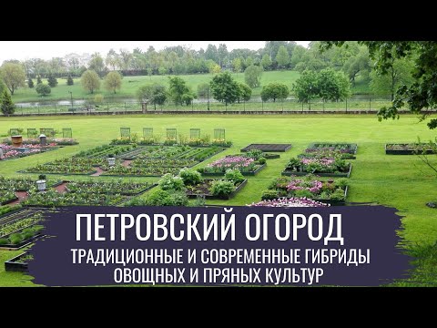 Video: Petrovsky Gemüsegarten In Strelna