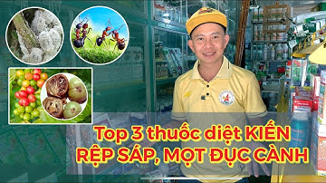 TOP 3 loại thuốc diệt KIẾN, RẦY RỆP, MỌT ĐỤC CÀNH cà phê rất hiệu quả l Nông Dược Xanh TV