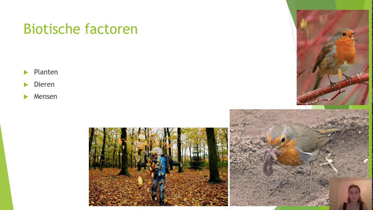 Biotische en abiotische factoren - YouTube