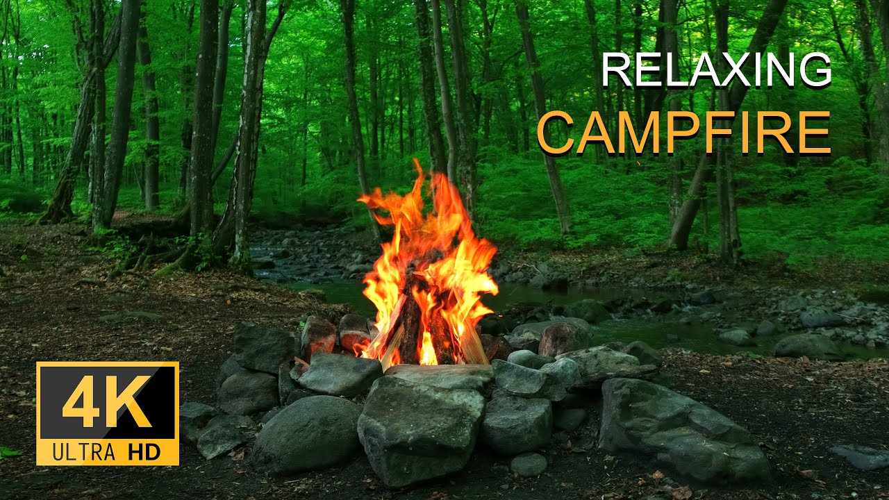 Campfire. Relaxing campfire in the forest. 4K 60/FPS. | Расслабляющее