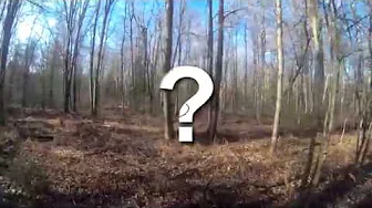 Quicky Vlog Nov 29th  Amazing Beautiful Day In NE Lower Michigan!
