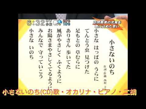 小さないのち(CD)歌・オカリナ・ピアノ・二胡【訪問教育拡充へ】