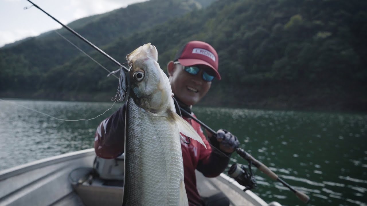 Have you ever seen any beautiful fish in the waters of China? - YouTube