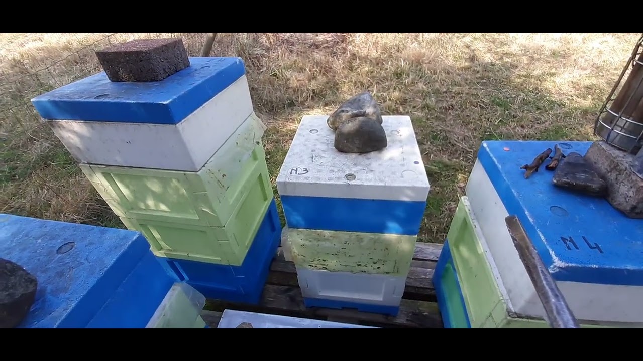 Surveillances des réserves👍 ça bouffe 😐😮