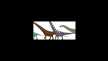 Dinosaurs size comparisons in 10 seconds.