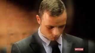 Oscar Pistorius trial - Part One