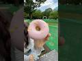 魅惑の味🍩⭐️ #GPP #ジーピーピー #ATE #GPP_ATE