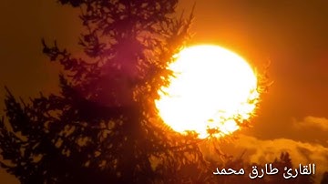 تلاوة طيبه تأخذك الى عالم من السكينه والرحمة ..  القارئ طارق محمد