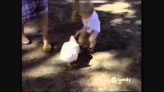 ☺ America's Funniest Home Videos part 66 | OrangeCabinet