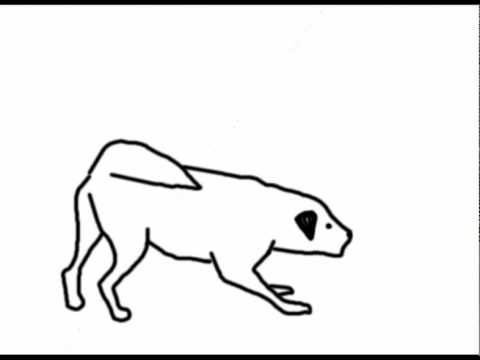 Animation Of A Dog Barking Line Test Youtube