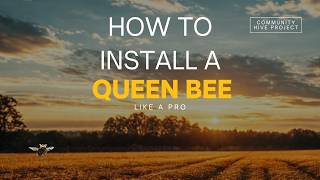 How to Install a Queen Bee Like a Pro