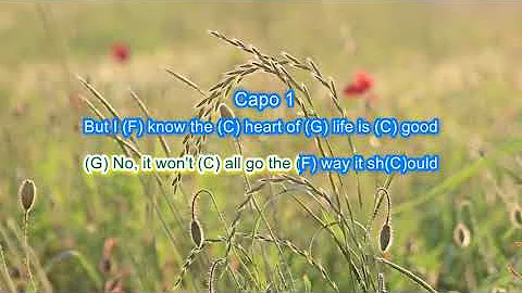 Heart of Life by John Mayer play along with scrolling guitar chords and lyrics