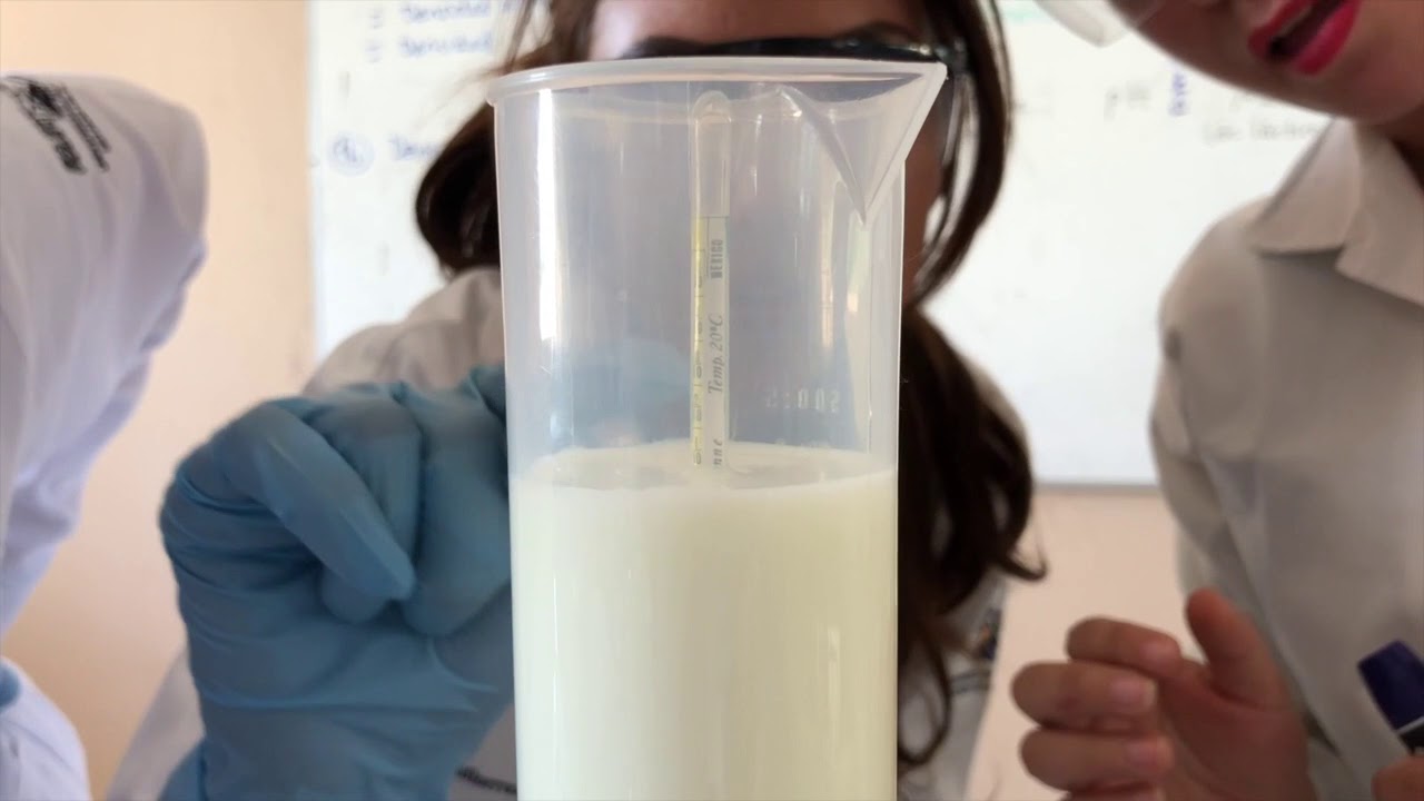 PRUEBAS DE PLATAFORMA DE LA LECHE. - YouTube