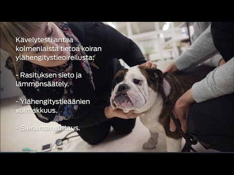 Video: Potilasarvojen Ja Mieltymysten Avulla Ilmoitetaan Terveystulosten Merkityksestä Käytännössä Ohjeiden Kehittämisessä GRADE-lähestymistavan Mukaisesti