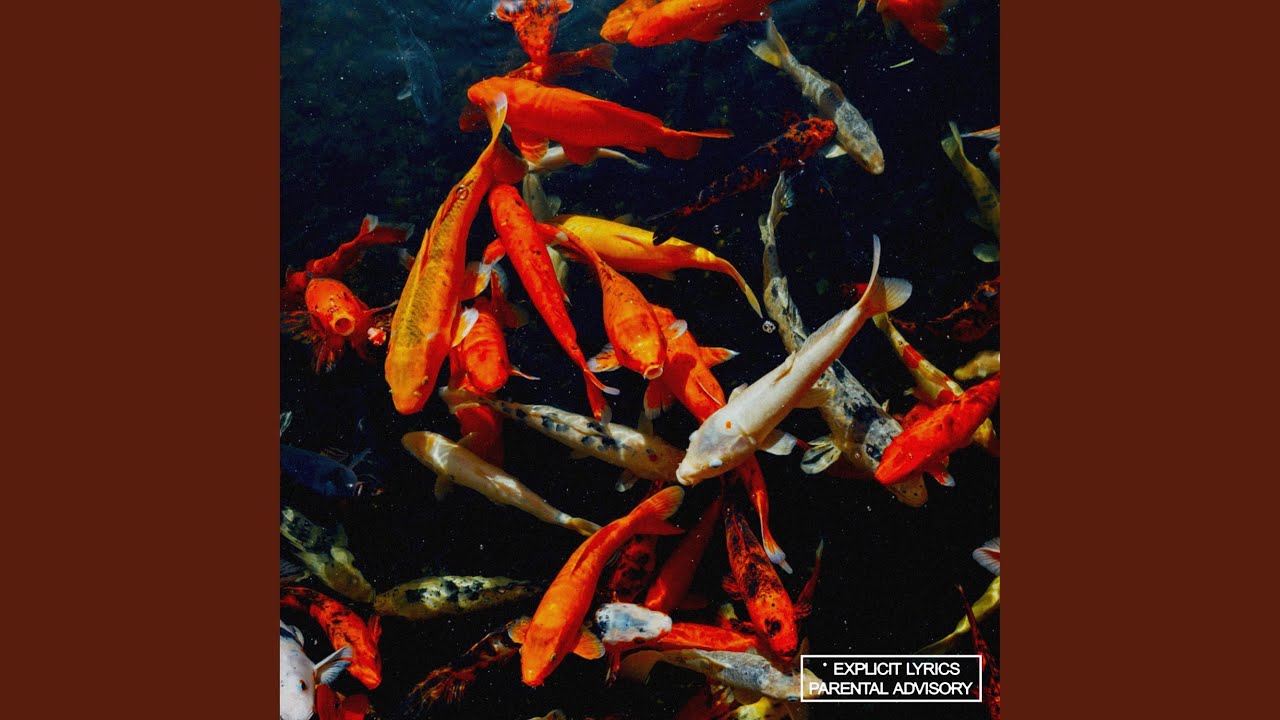 Strange (feat. Jay Gwin & Bondsabillion) bekijken op YouTube Strange (feat. Jay Gwin & Bondsabillion) bekijken op YouTube