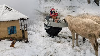 Snow Village life and Culinary Traditions in Talesh Mountains - IRAN