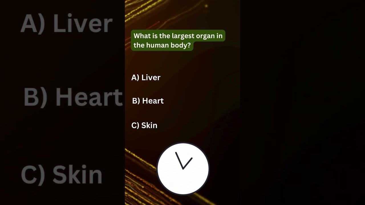 What is the largest organ in the human body?#Skin #LargestOrgan #sciencefather #professor #phd