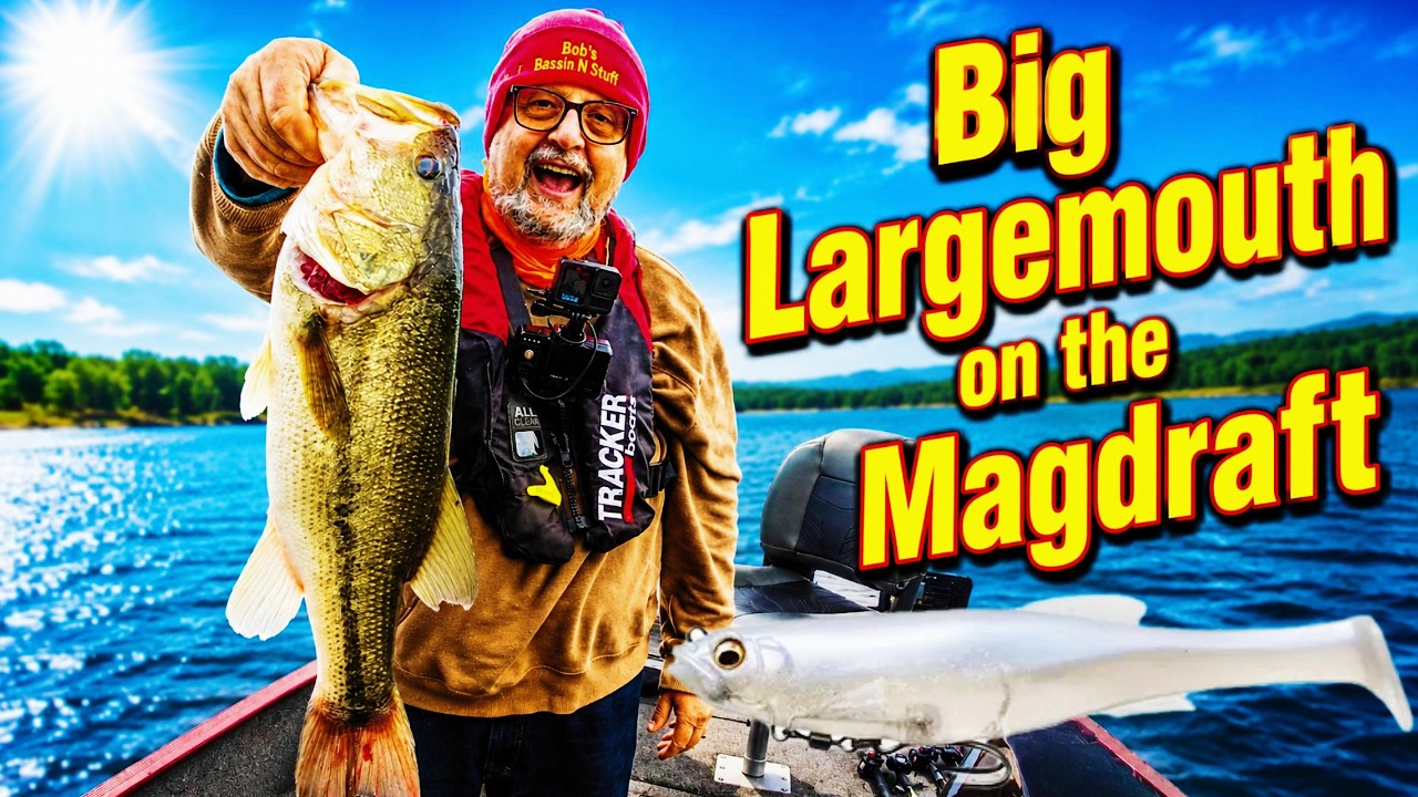 Big Bass Eats a Megabass Magdraft on Lake James!