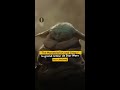"The Mandalorian and Grogu", le grand retour de Star Wars au cinéma