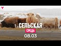 Сельская среда 08.03.2023